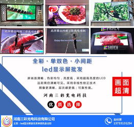 LED顯示屏供應(yīng)商的網(wǎng)絡(luò)技術(shù)開發(fā)與區(qū)域市場(chǎng)深耕——以方城、唐河及三彩為例